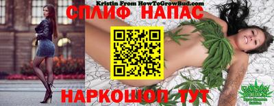 мяу мяу мука Нарткала