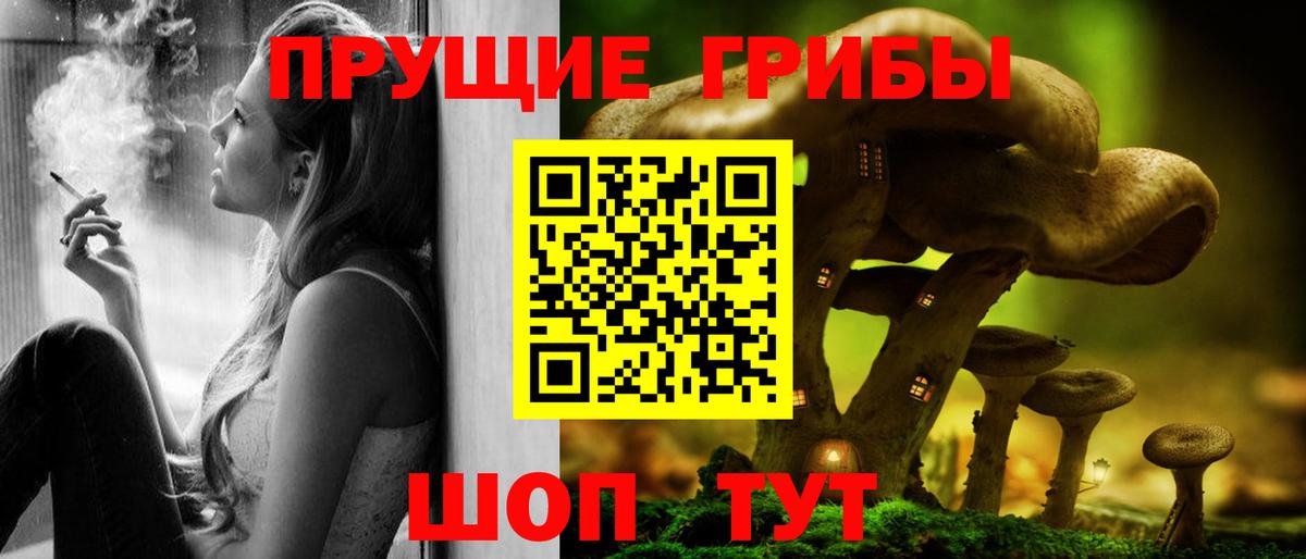 Галлюциногенные грибы ЛСД  Вход с VPN  Галлюциногенные грибы Psilocybe  Осинники 
